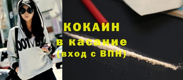 стаф Арсеньев