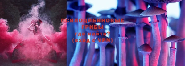 стаф Арсеньев
