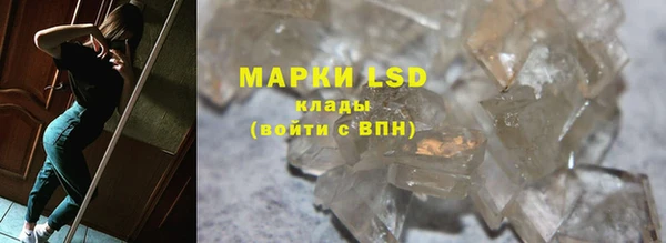 стаф Арсеньев