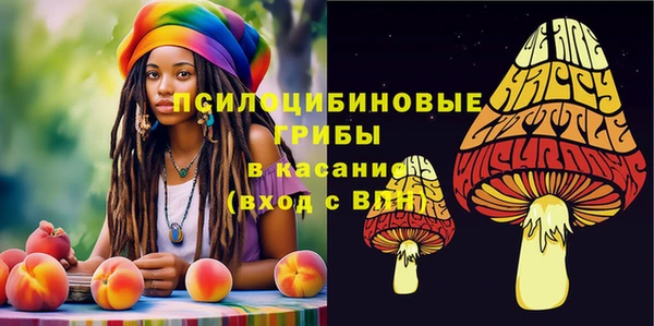 стаф Арсеньев