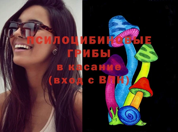 гидропоника Аркадак