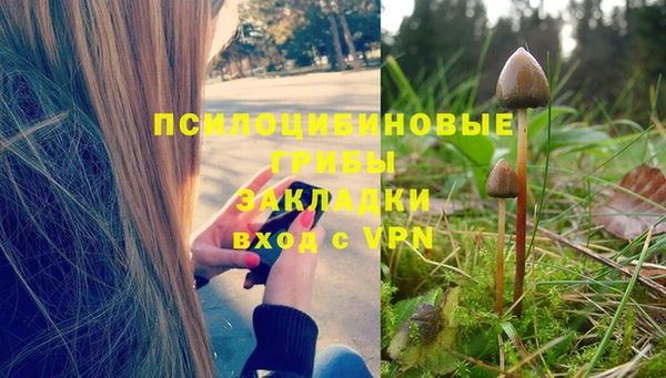 гидропоника Аркадак